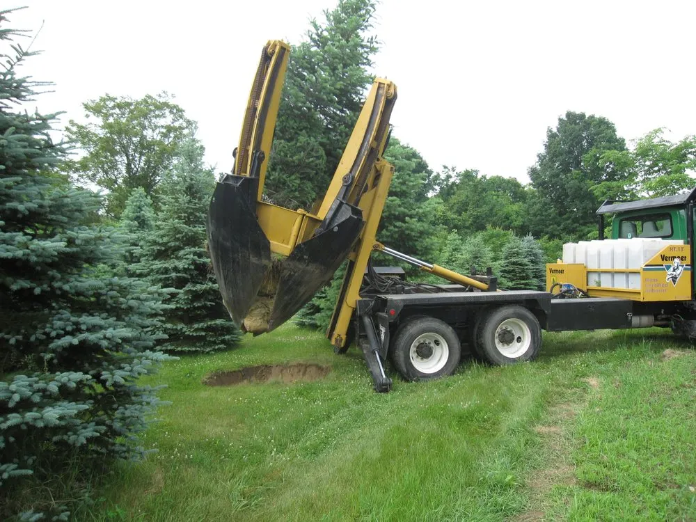 Local yard cleanup service for residential properties across Boxborough, MA - Acorn Tree & Landscaping