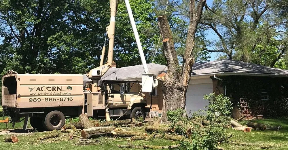 Trusted landscaping services experts serving Saint Charles, MI - Acorn Tree Service & Landscape