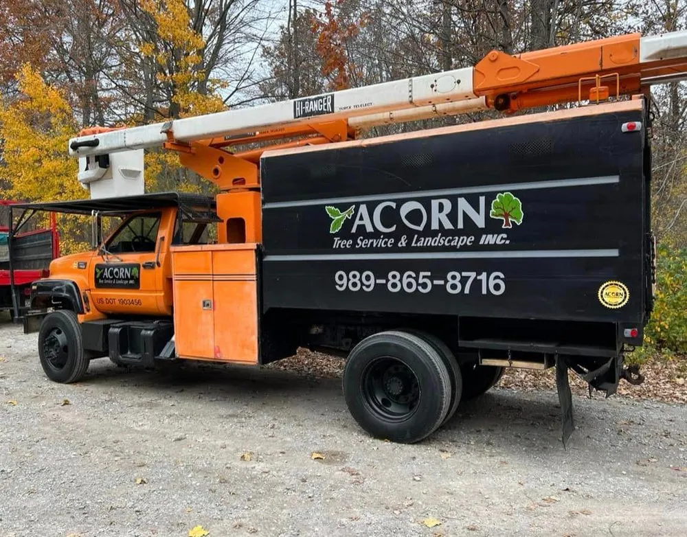 Expert yard cleanup service for year-round maintenance across Saint Charles, MI - Acorn Tree Service & Landscape
