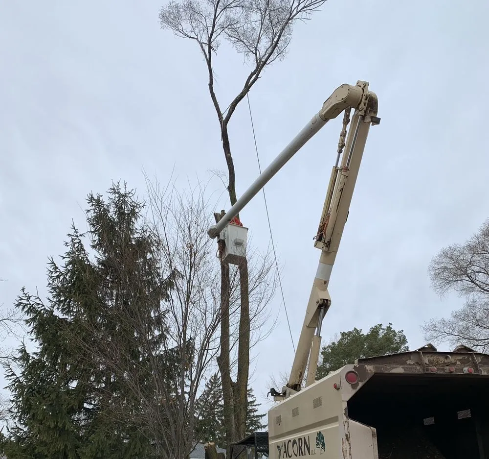 Trusted landscaping services in Saint Charles, MI - Acorn Tree Service & Landscape