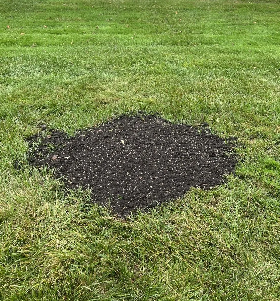 Affordable landscape design for year-round maintenance in Saint Charles, MI by Acorn Tree Service & Landscape