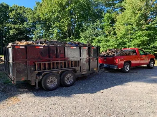 Acorn Tree Service & Landscape