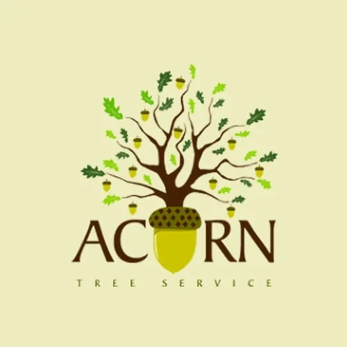 Top-rated yard cleanup service with custom design across Stonington, CT - Acorn Tree Services