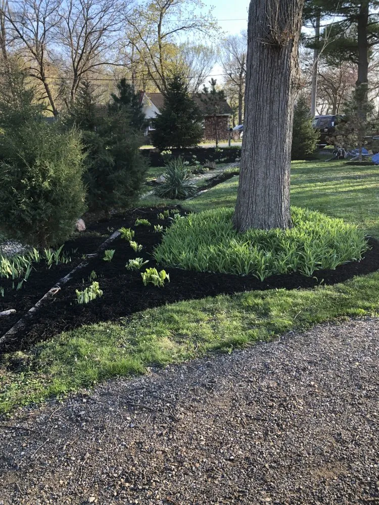 Expert yard cleanup service experts serving Waukegan, IL - Acosta and Sons Landscaping
