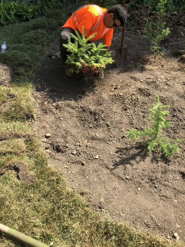 Reliable lawn mowing service experts serving Waukegan, IL - Acosta and Sons Landscaping