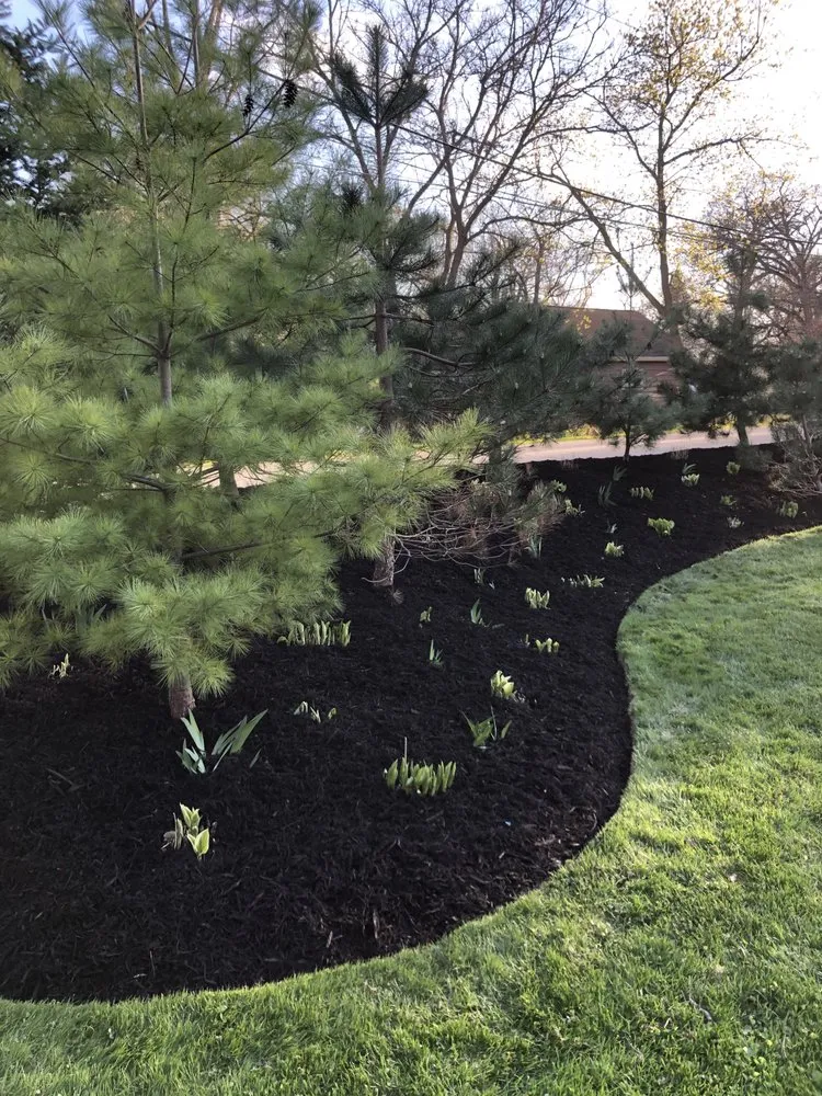 Trusted yard cleanup service experts serving Waukegan, IL - Acosta and Sons Landscaping