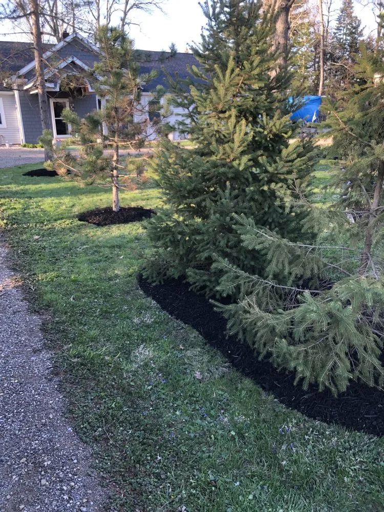 Trusted landscaping services for outdoor upgrades in Waukegan, IL by Acosta and Sons Landscaping