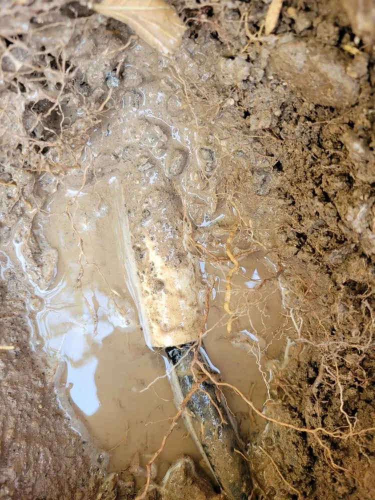 Reliable landscaping services near you across North Las Vegas, NV - Acosta Complete Lawn Services