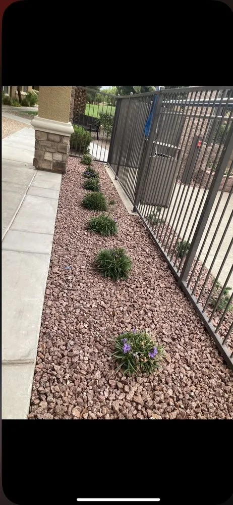 Custom residential landscaping for residential properties in North Las Vegas, NV by Acosta Complete Lawn Services