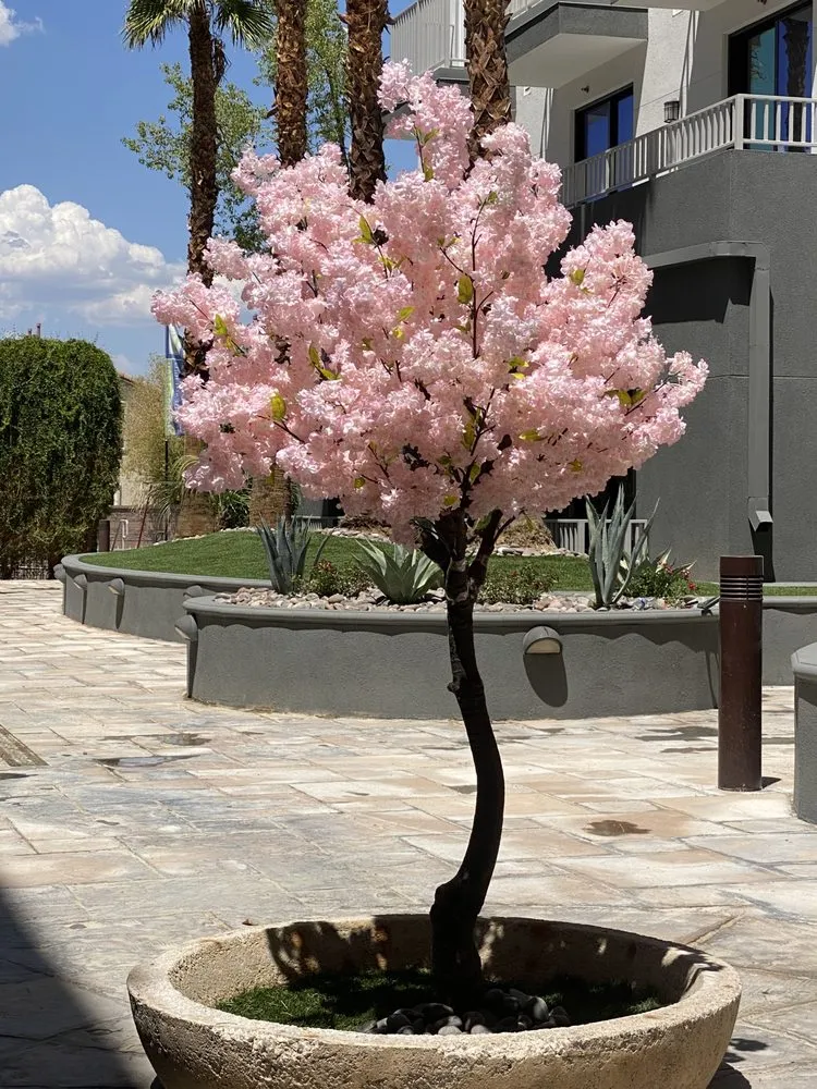 Reliable yard cleanup service for residential properties across North Las Vegas, NV - Acosta Complete Lawn Services