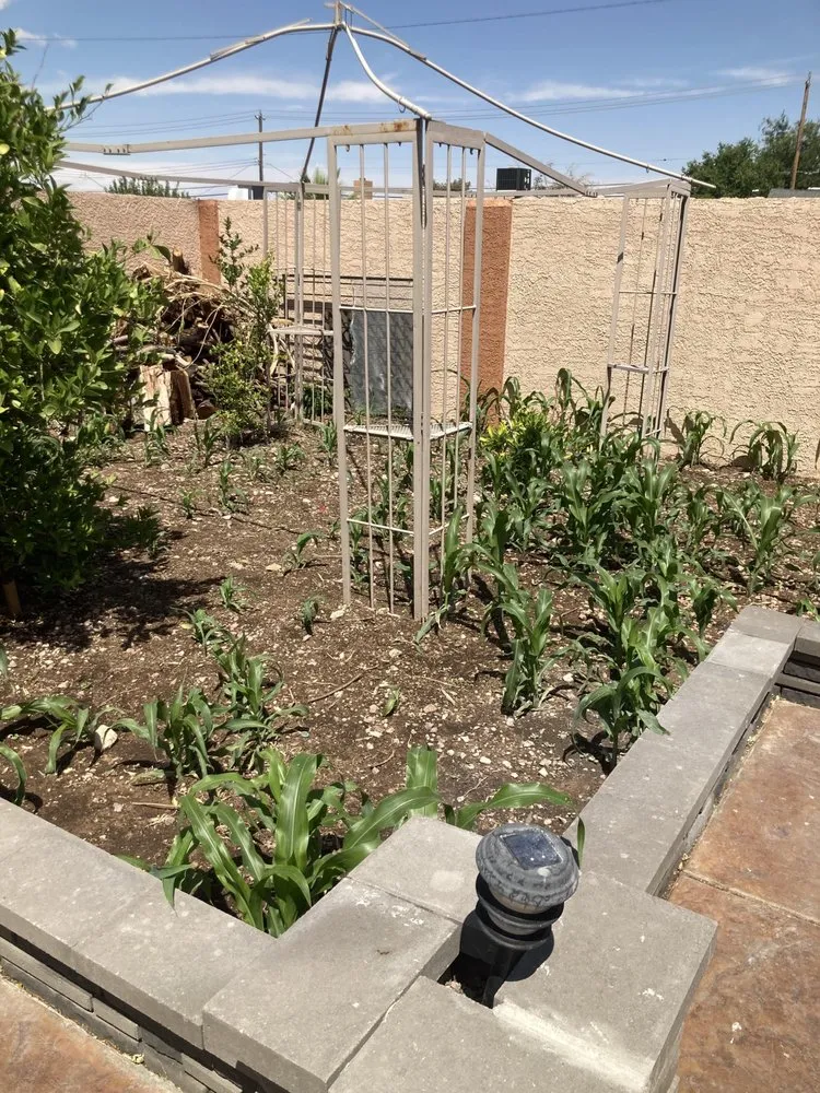 Affordable landscape installation experts serving North Las Vegas, NV - Acosta Complete Lawn Services