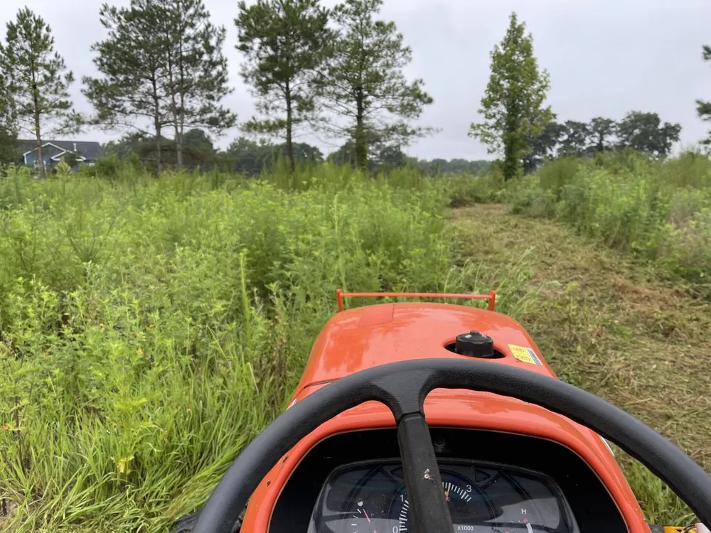 Reliable yard cleanup service in Erwin, NC by Acosta Land Services