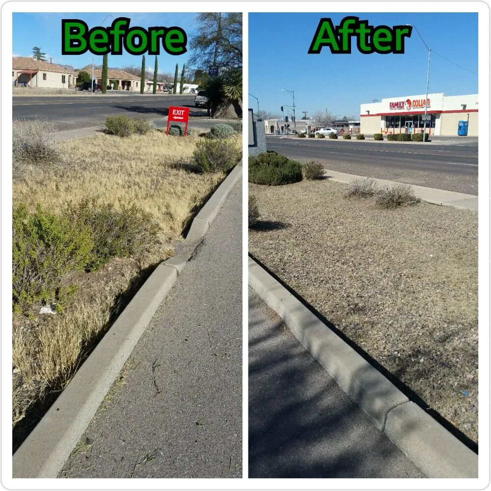 Trusted landscape installation experts serving Douglas, AZ - Acosta Landscape Company