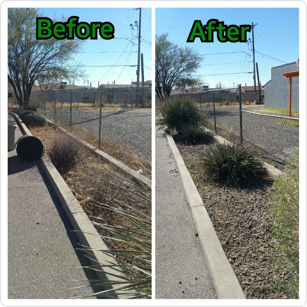Custom garden landscaping in Douglas, AZ - Acosta Landscape Company