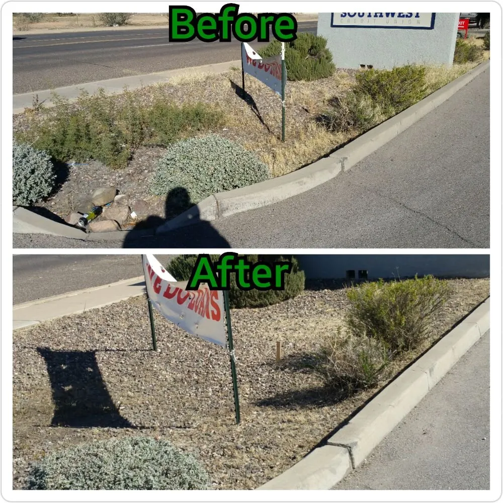 Expert residential landscaping in Douglas, AZ - Acosta Landscape Company