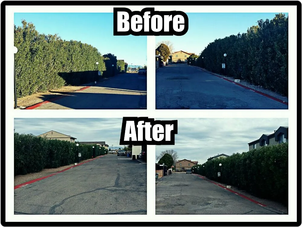 Local yard maintenance in Douglas, AZ - Acosta Landscape Company