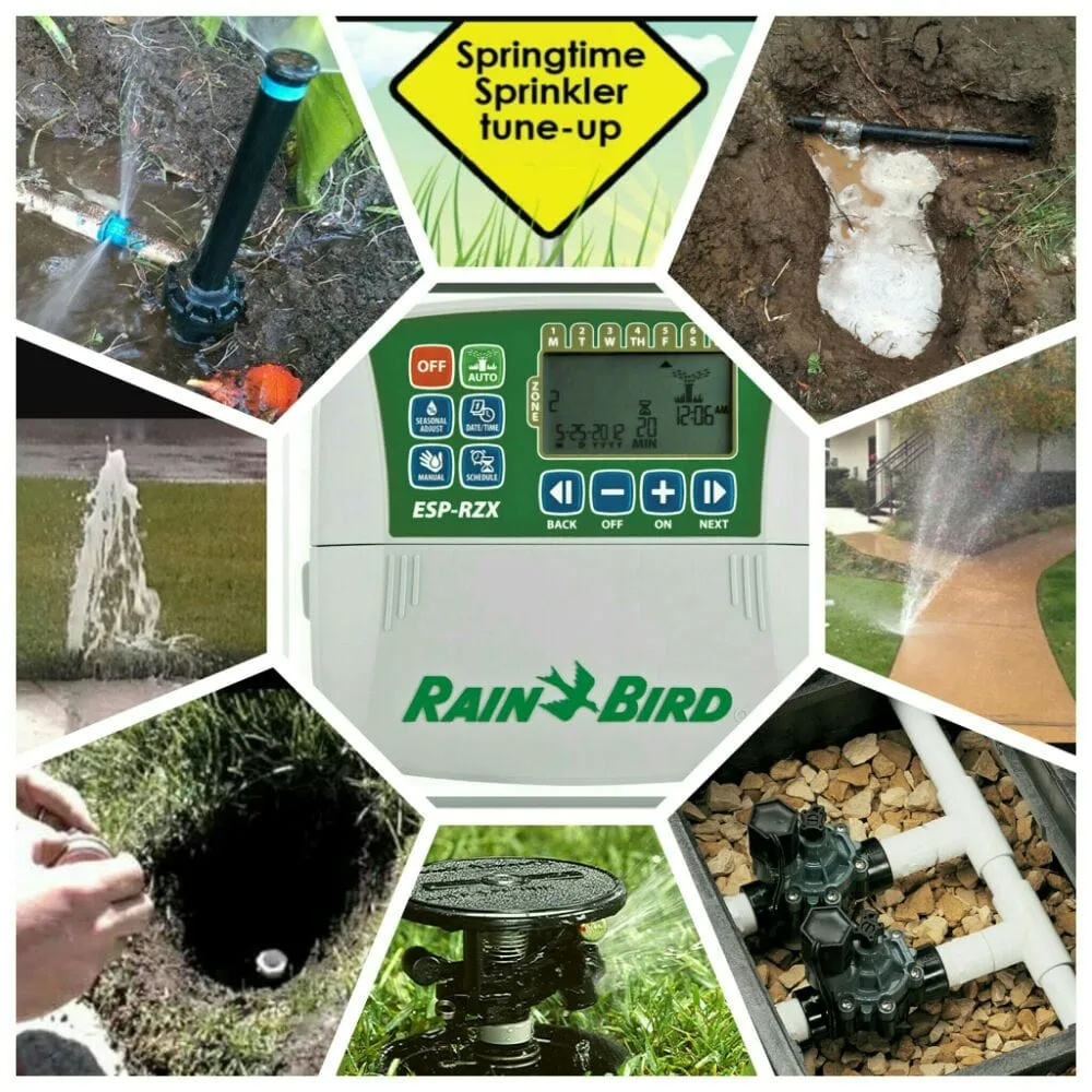 Trusted yard cleanup service in Douglas, AZ by Acosta Landscape Company