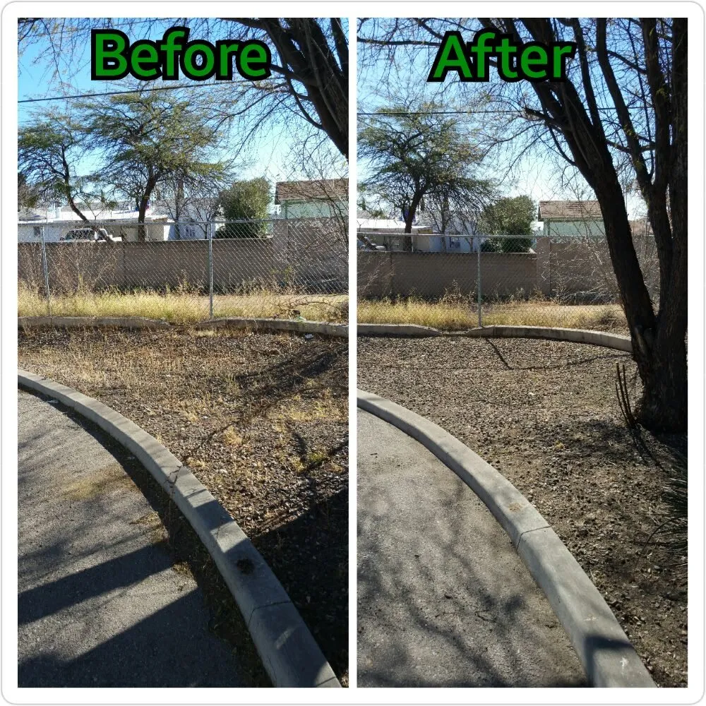 Local yard maintenance experts serving Douglas, AZ - Acosta Landscape Company