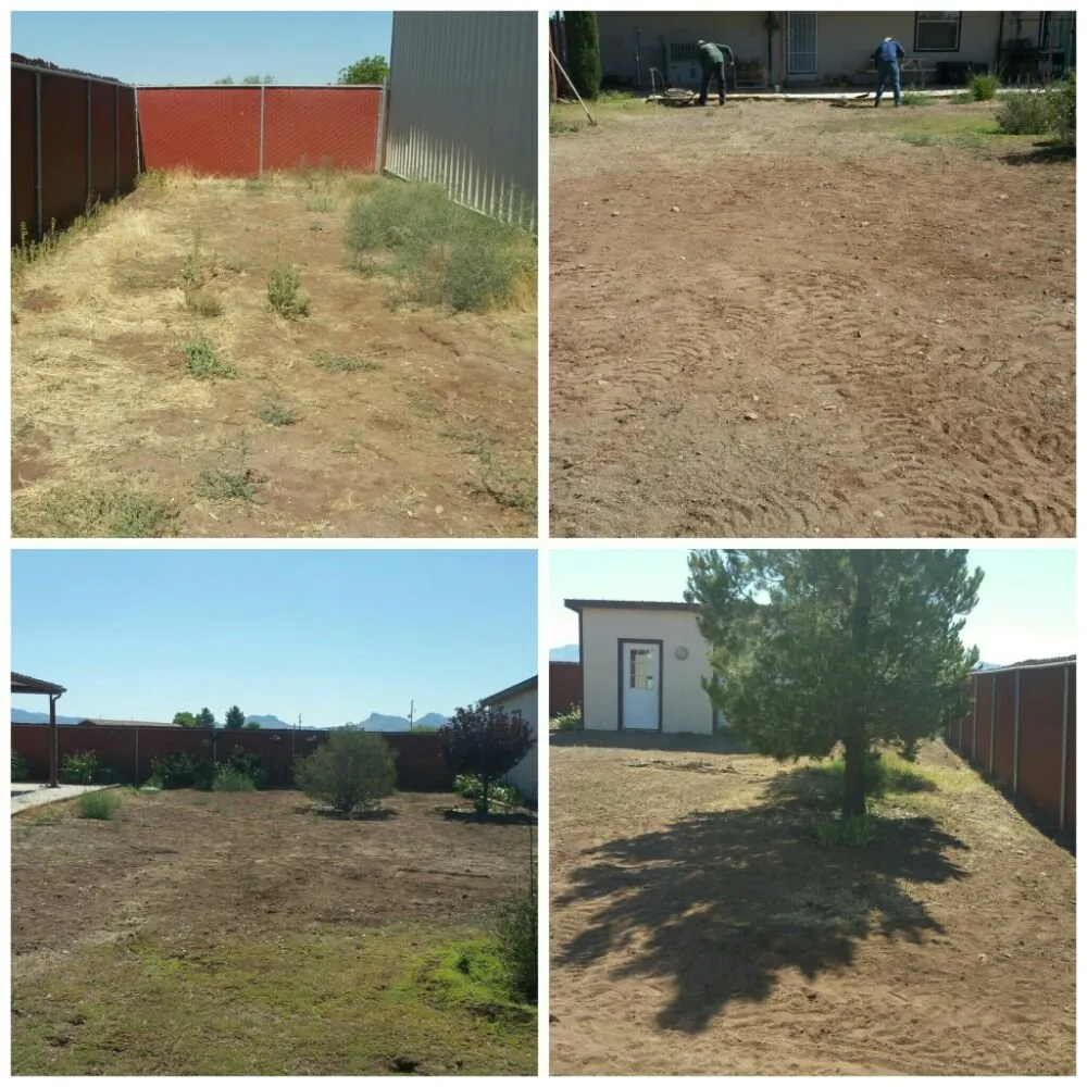 Trusted garden landscaping for beautiful yards across Douglas, AZ - Acosta Landscape Company