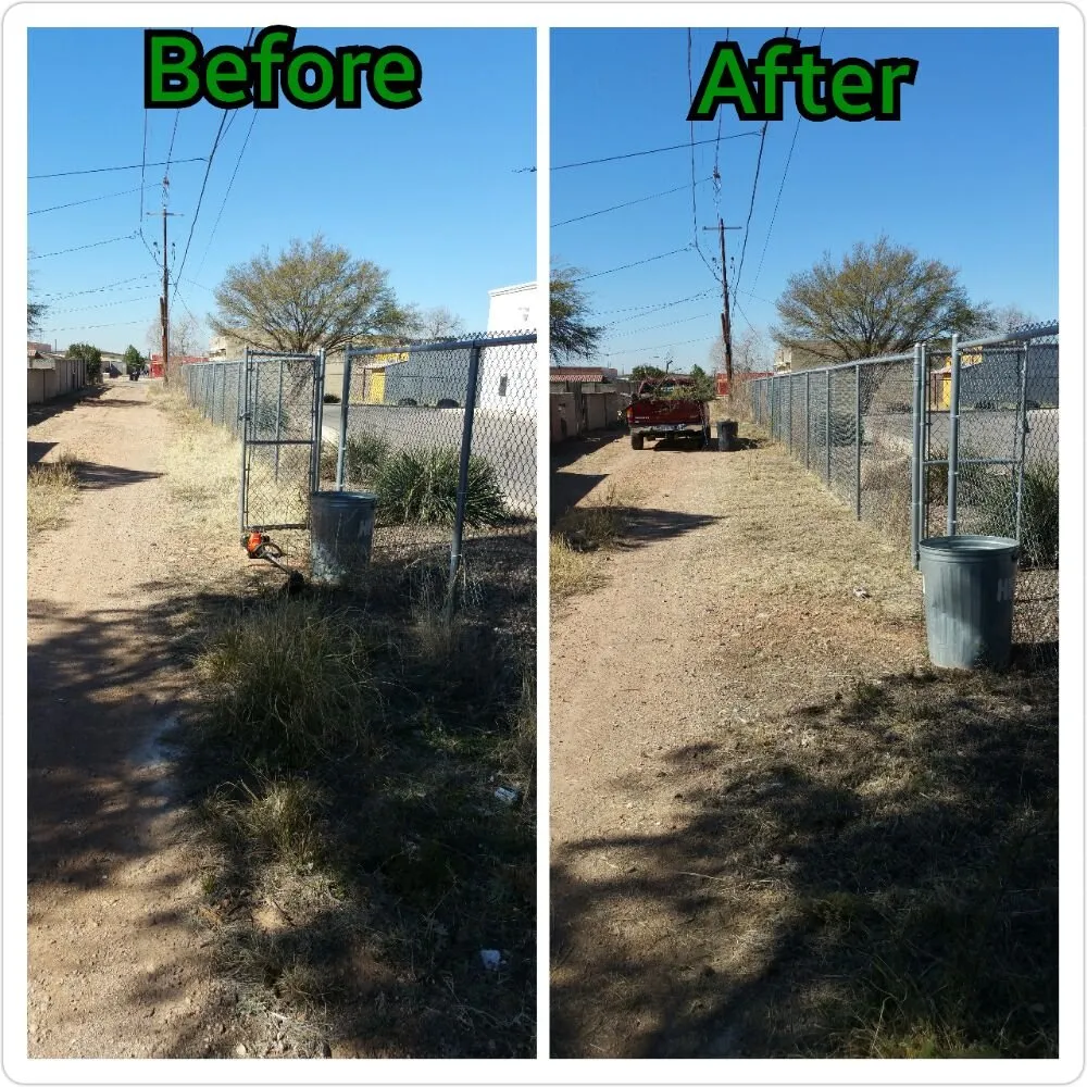 Top-rated landscaping services for outdoor upgrades across Douglas, AZ - Acosta Landscape Company