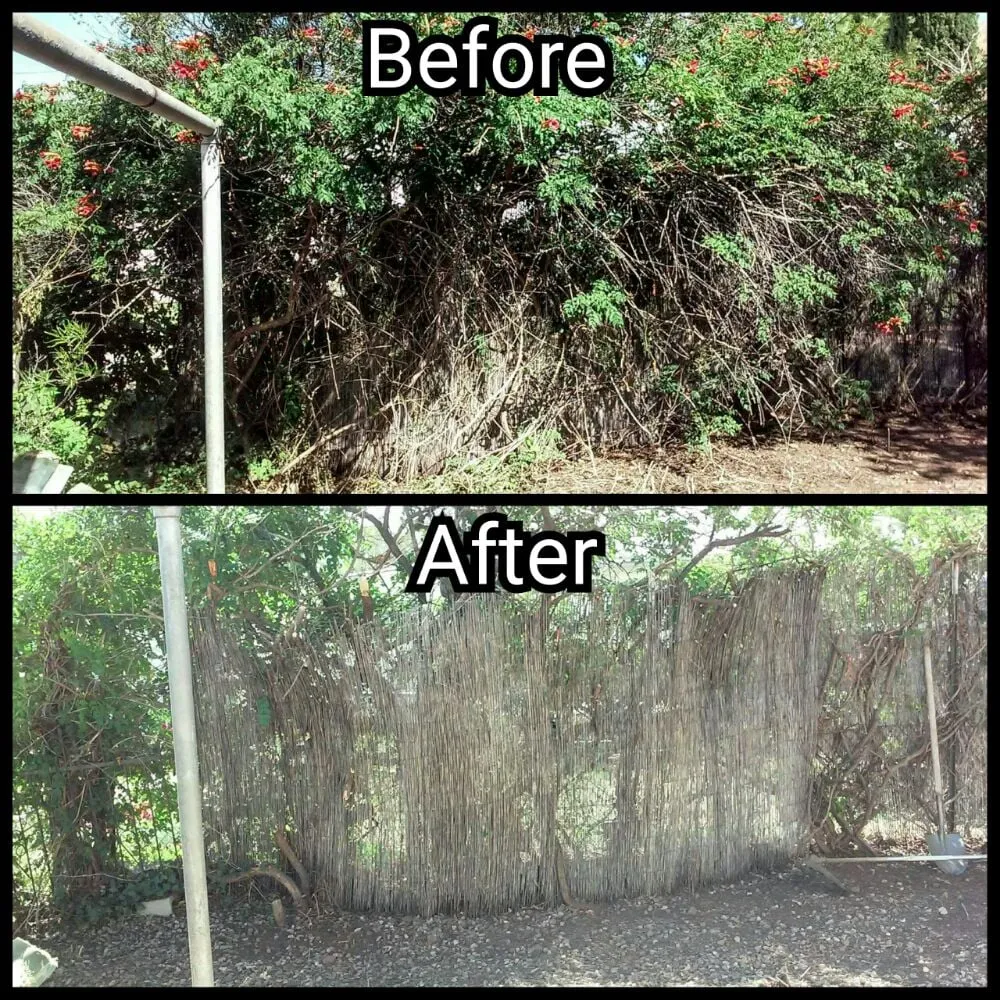 Trusted yard maintenance for homes across Douglas, AZ - Acosta Landscape Company