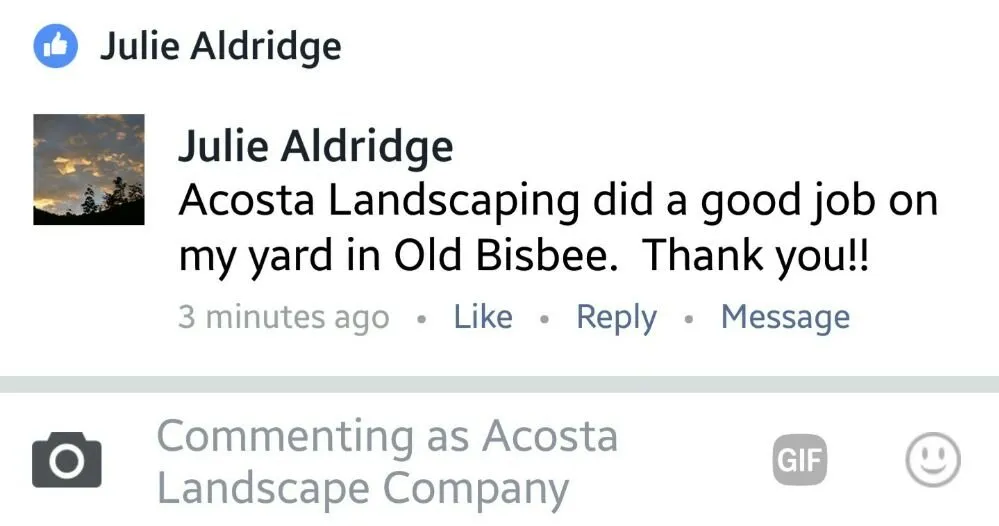 Reliable yard cleanup service near you in Douglas, AZ by Acosta Landscape Company