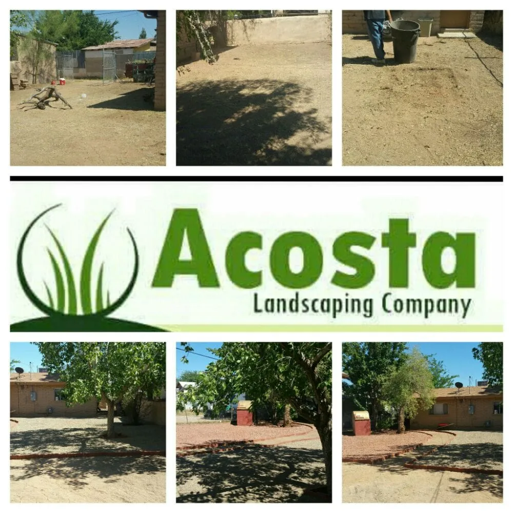 Expert landscape design in Douglas, AZ - Acosta Landscape Company