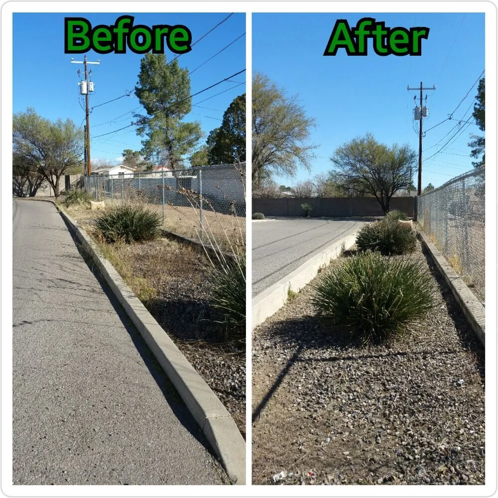 Expert residential landscaping for year-round maintenance in Douglas, AZ by Acosta Landscape Company