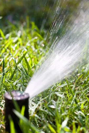 Affordable lawn mowing service with custom design in Chandler, AZ by Acosta Landscapes