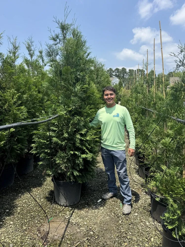 Reliable lawn mowing service with custom design in Louisburg, NC by Acosta Landscaping