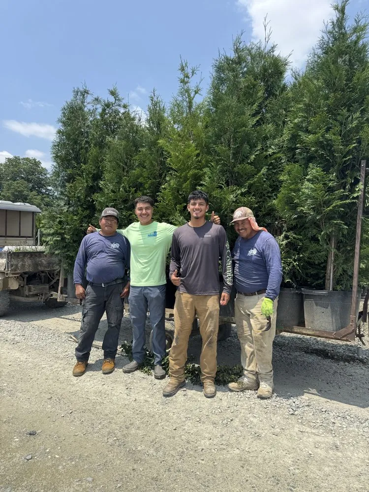 Custom landscaping services in Louisburg, NC - Acosta Landscaping