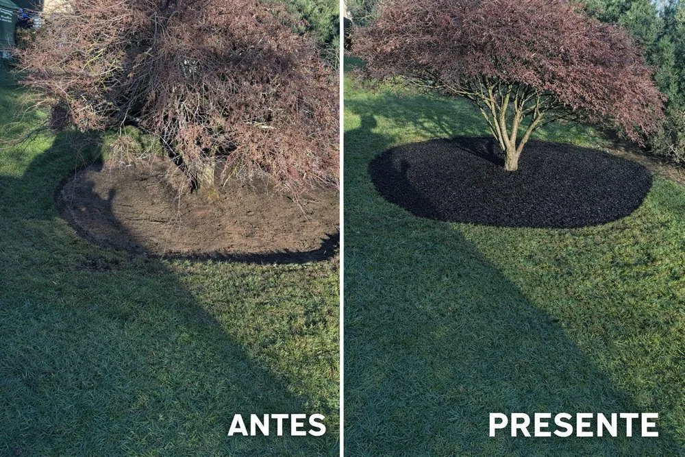 Expert landscape design in Beaverton, OR by Acosta Nambo Landscaping