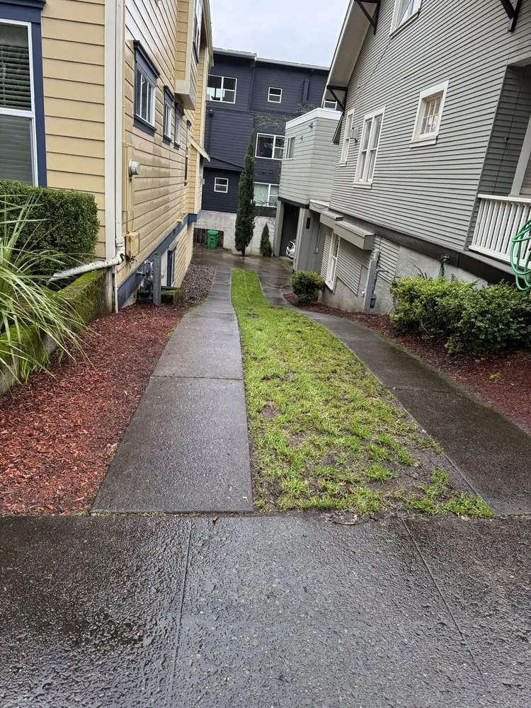 Custom landscape design experts serving Beaverton, OR - Acosta Nambo Landscaping