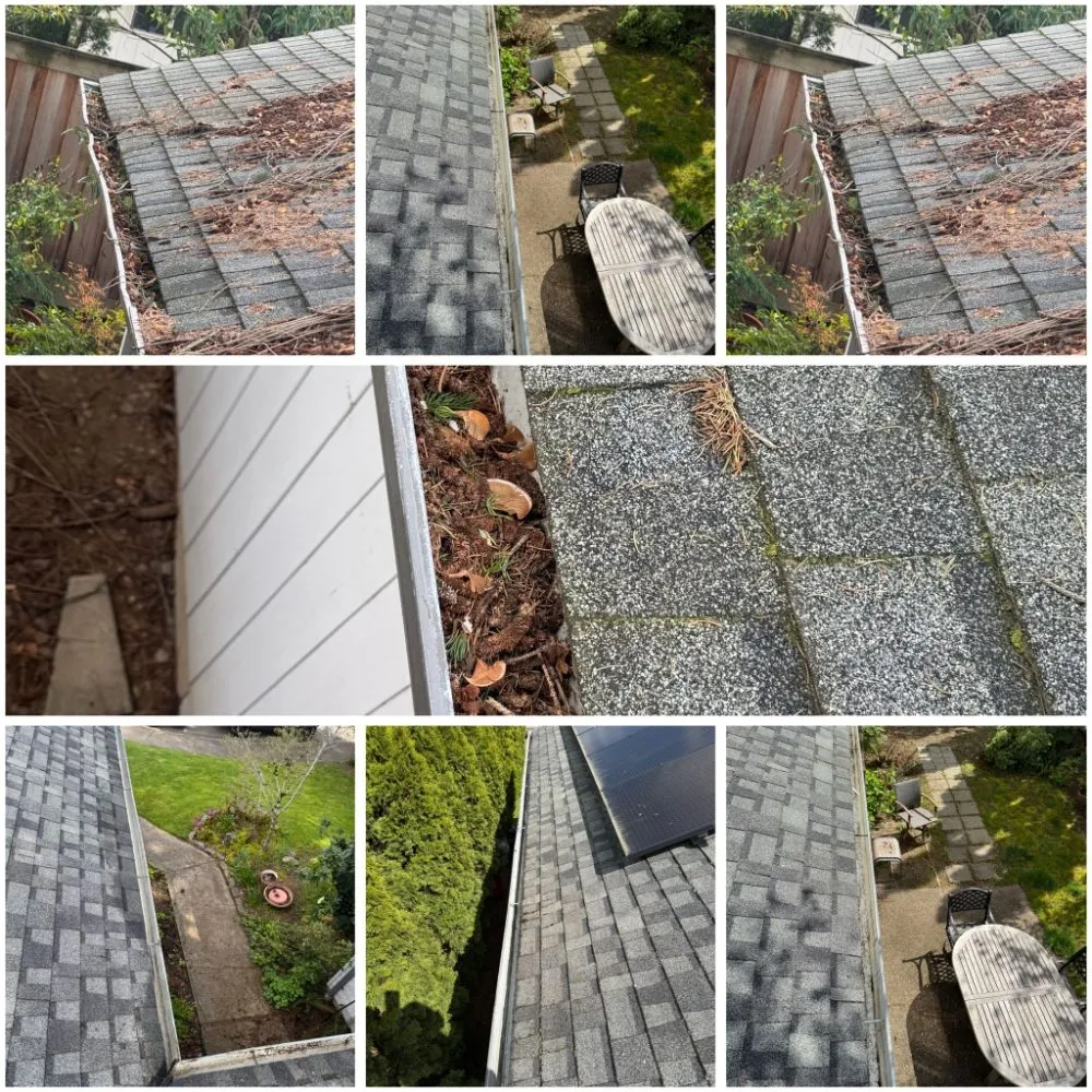 Affordable lawn care service in Beaverton, OR - Acosta Nambo Landscaping