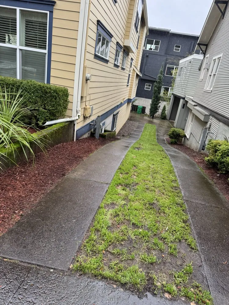 Trusted outdoor landscaping with custom design in Beaverton, OR by Acosta Nambo Landscaping