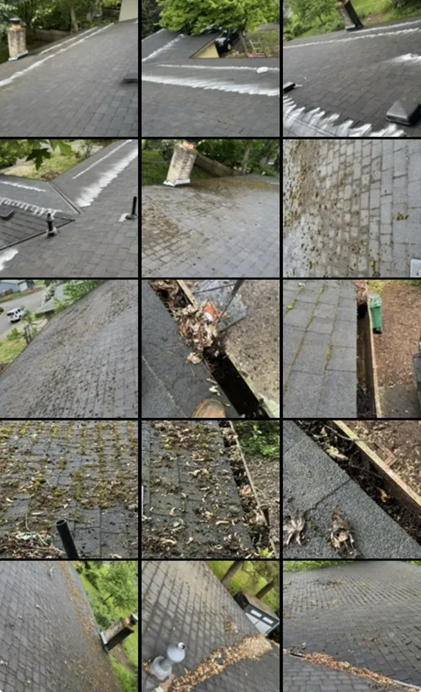 Reliable landscape installation for residential properties in Beaverton, OR by Acosta Nambo Landscaping