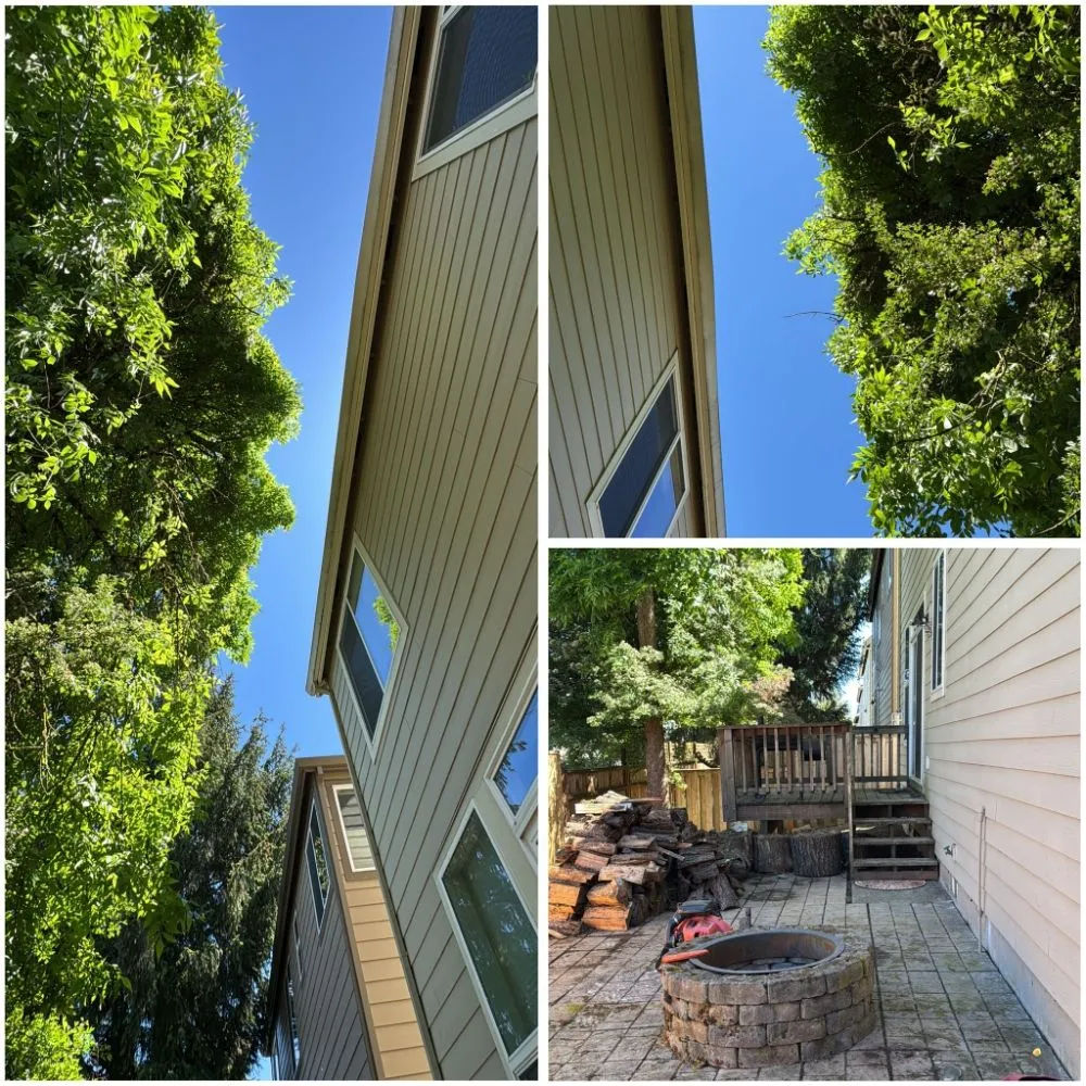 Reliable yard cleanup service experts serving Beaverton, OR - Acosta Nambo Landscaping