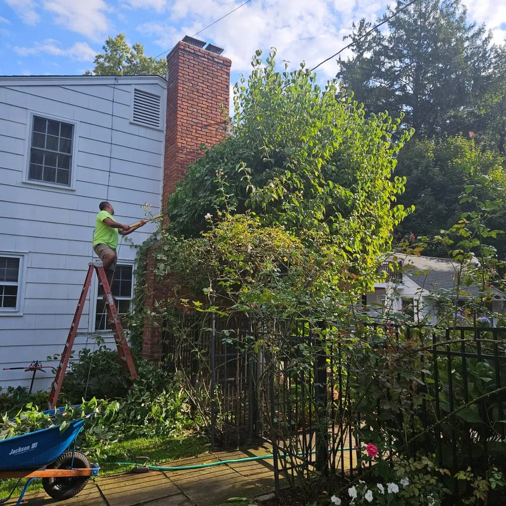Custom residential landscaping for homes across Norwalk, CT - Acosta Tree Removal and Landscaping