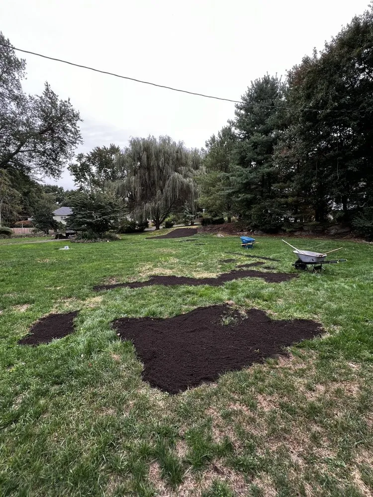 Affordable garden landscaping in Norwalk, CT - Acosta Tree Removal and Landscaping