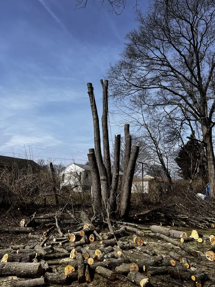 Professional outdoor landscaping in Norwalk, CT - Acosta Tree Removal and Landscaping