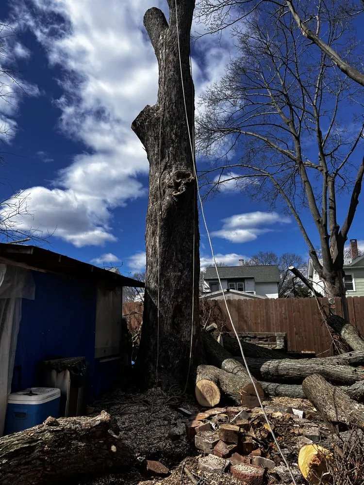 Top-rated garden landscaping experts serving Norwalk, CT - Acosta Tree Removal and Landscaping