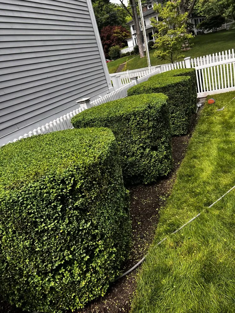 Local lawn mowing service in Norwalk, CT by Acosta Tree Removal and Landscaping