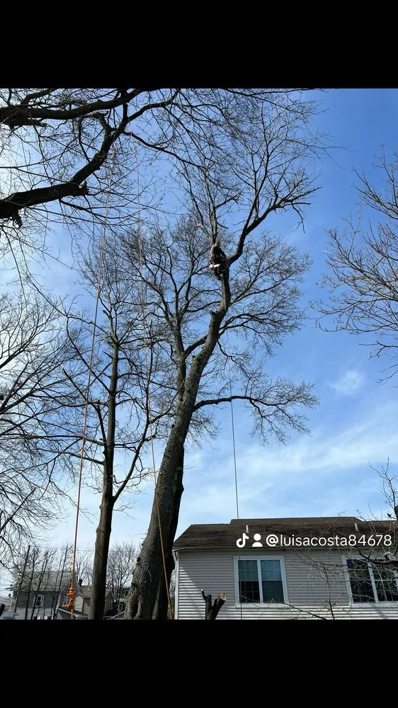 Affordable garden landscaping experts serving Norwalk, CT - Acosta Tree Removal and Landscaping