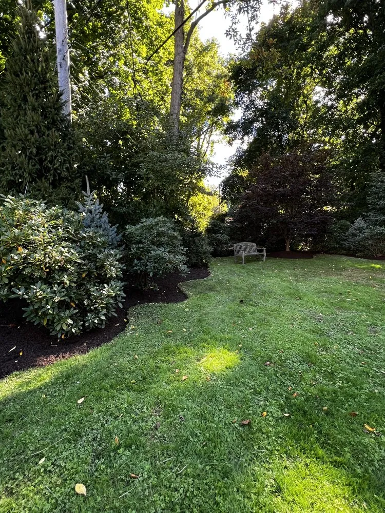 Local yard cleanup service experts serving Norwalk, CT - Acosta Tree Removal and Landscaping