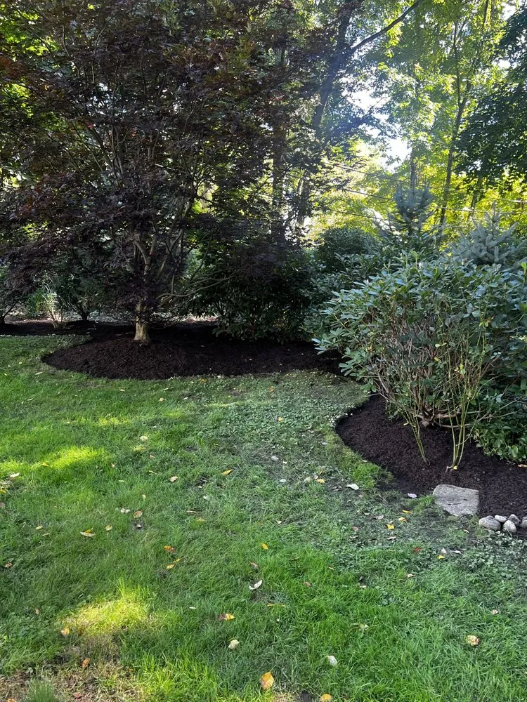 Professional landscaping services in Norwalk, CT by Acosta Tree Removal and Landscaping