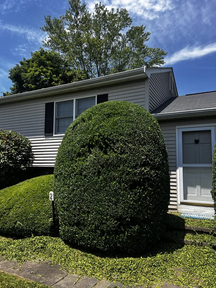 Professional residential landscaping in Norwalk, CT - Acosta Tree Removal and Landscaping