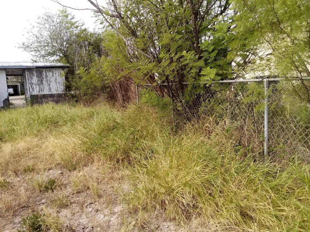 Affordable outdoor landscaping in Del Rio, TX by Acosta's Lawn Care and Tree Service