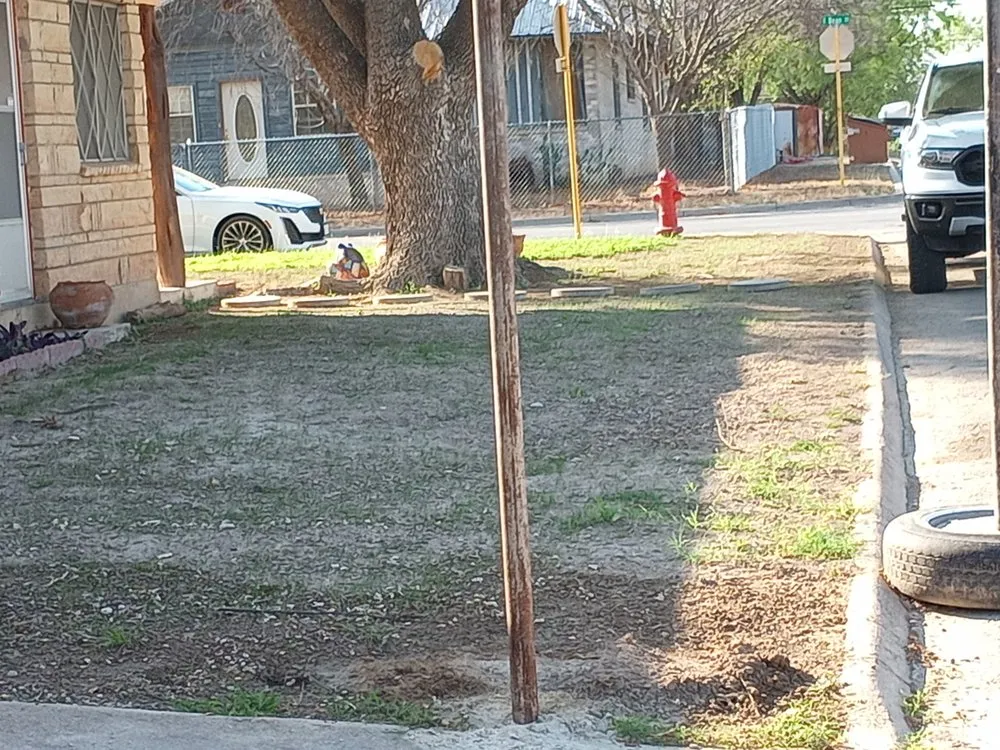 Local yard maintenance in Del Rio, TX by Acosta's Lawn Care and Tree Service