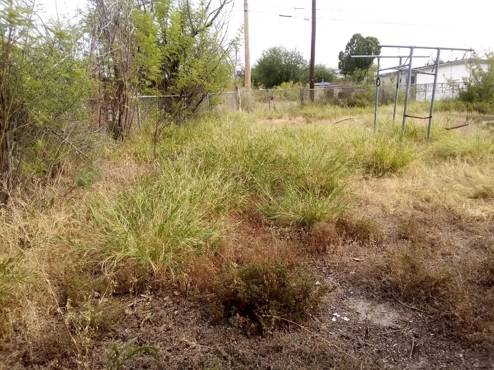 Affordable residential landscaping in Del Rio, TX by Acosta's Lawn Care and Tree Service