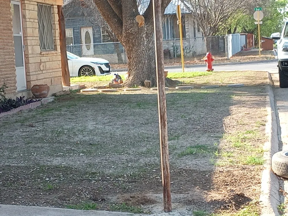 Custom lawn care service in Del Rio, TX - Acosta's Lawn Care and Tree Service